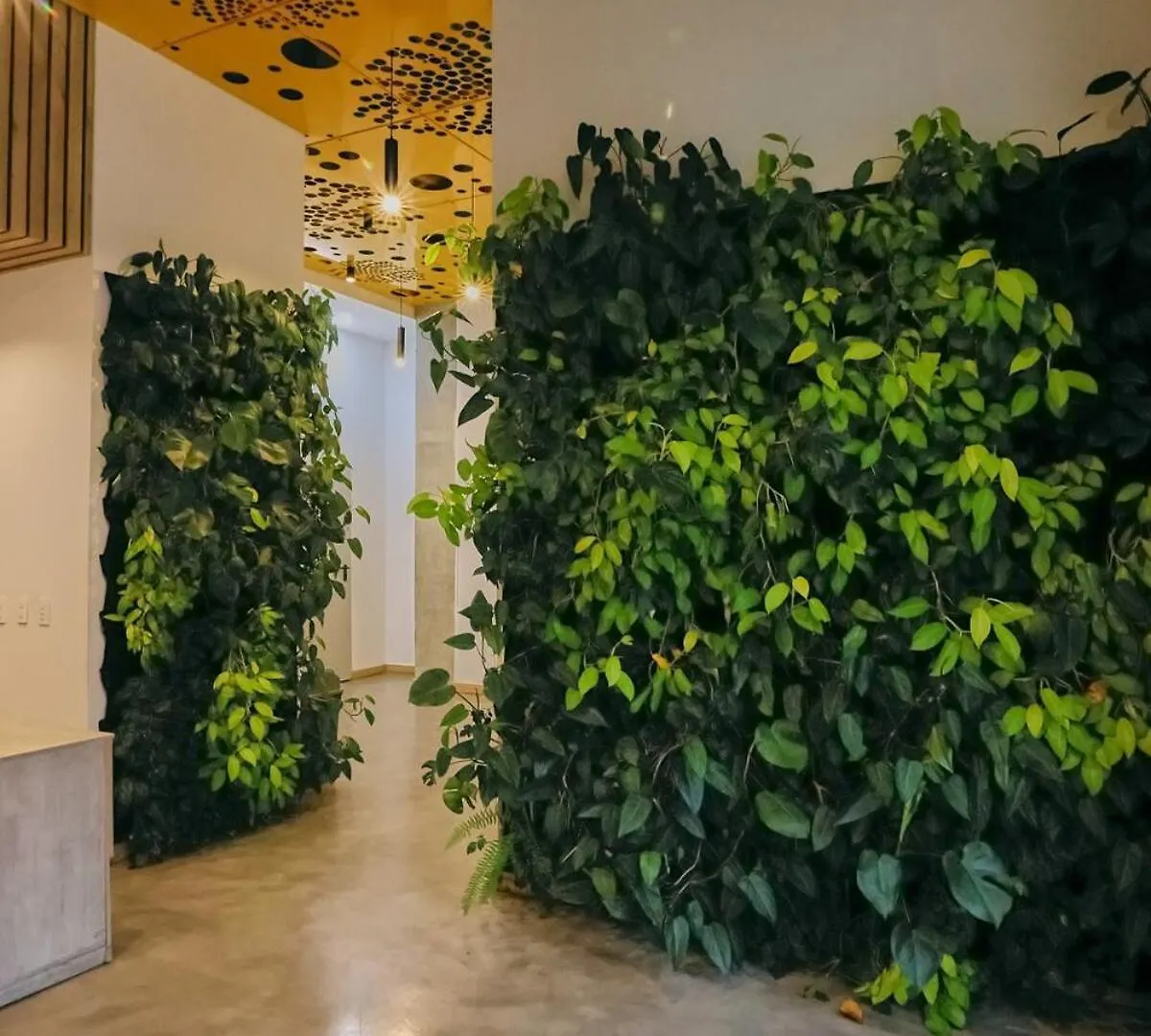 Modern Skyline Suite -Wifi, Gym, 24Hr Security Medellín Appartement